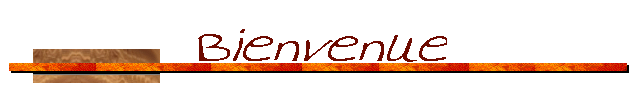 Bienvenue
