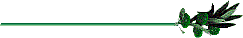 oliv_bar.gif (2153 octets)