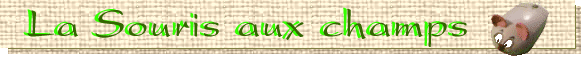 nuevobandeau.gif (25437 octets)